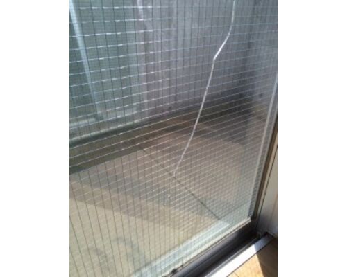 20160304030040-225x300