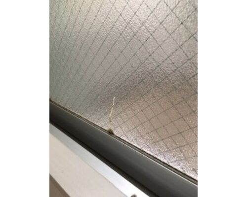 IMG_0061-min-225x300