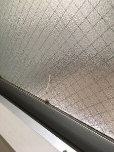 網入り型板ガラス　入れ換え前