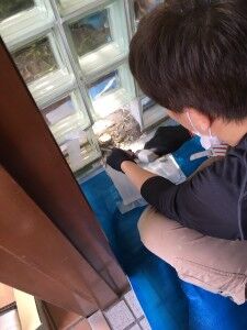 既存モルタル除去